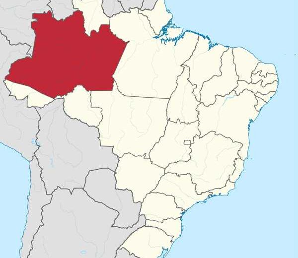 A história do Amazonas
