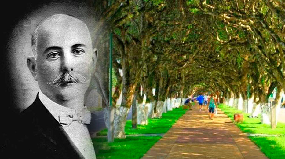 História da Avenida Parque, o Túnel Verde de Itacoatiara