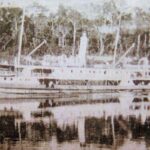 Conheça de forma resumida a História do Amazonas