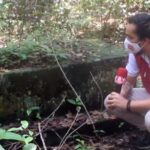O Naufrágio de Dominique: O maior naufrágio da história de Codajás, no Amazonas