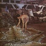 Relembre as principais casas de show de Manaus nos anos 2000