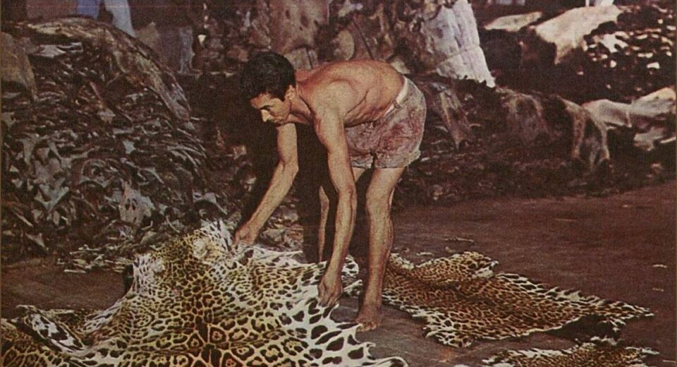 Foto: Revista Manchete, 10/07/1965