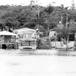 Balneário do Parque Dez: Um refúgio histórico da Manaus dos Anos 1930