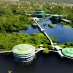 Os Armazéns Andresen: Um capítulo da história comercial de Manaus